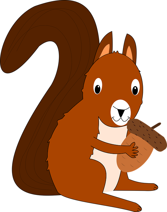 Squirrel Cliparts 8, Buy Clip Art - กระรอก การ์ตูน Png (567x720)