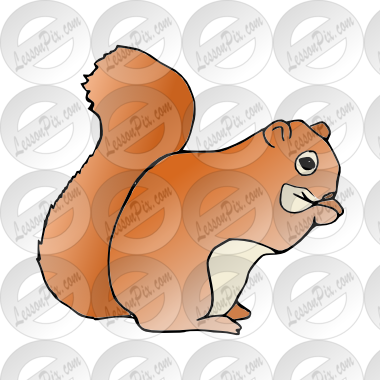Squirrel Picture - Eurasian Red Squirrel (380x380)