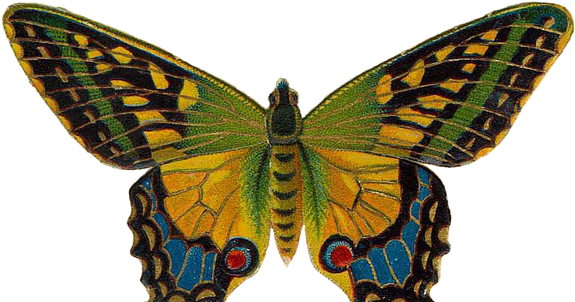 Butterfly Art Clip Art - Vintage Butterfly Moth Bugs Butterflies Victorian Cameo (1200x630)