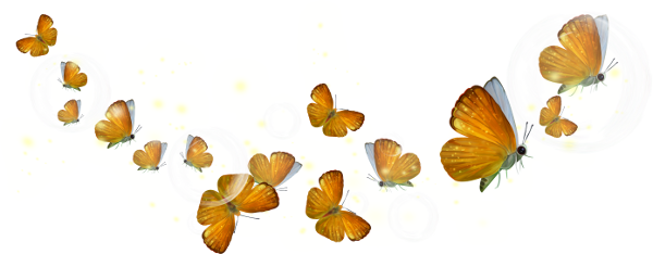 Clipart Butterflies - Portable Network Graphics (600x234)