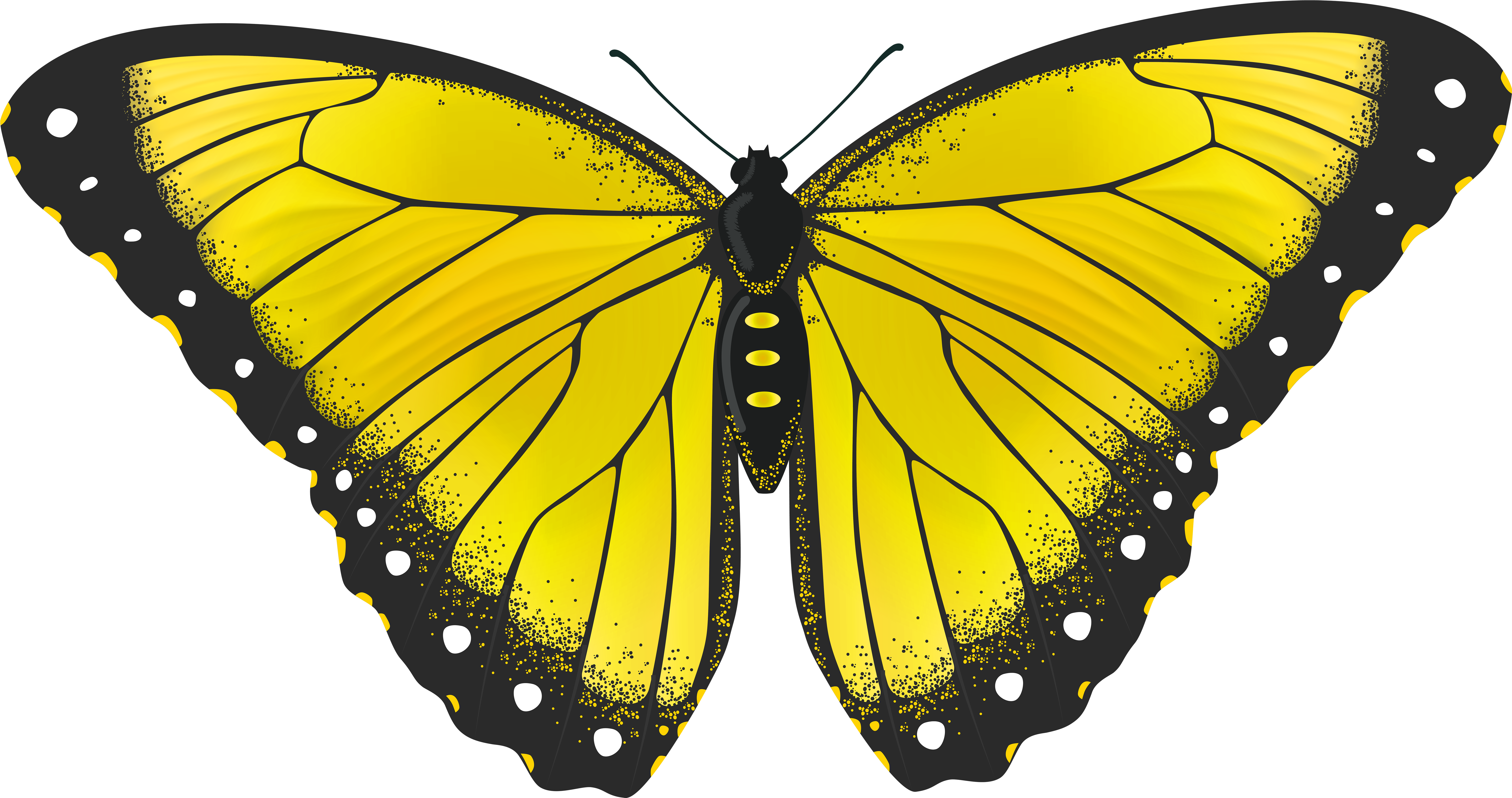 Yellow Butterfly Transparent Png Clip Art Image Png - Yellow Monarch Butterfly Png (8000x4221)