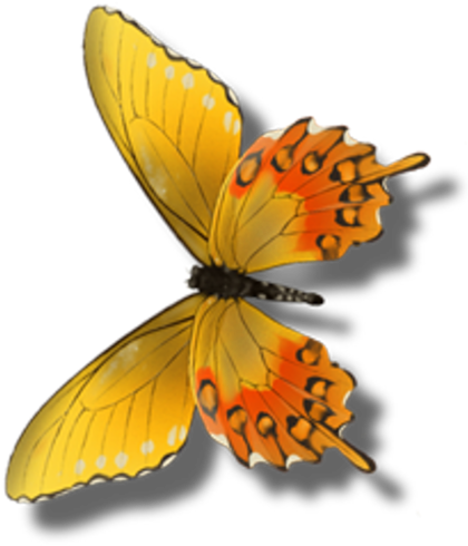 Butterfly (422x500)