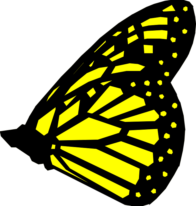 Butterfly Wings Clip Art (685x720)