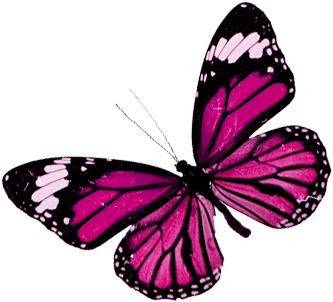 Sweet I Love You Teddy Bear (448x336)