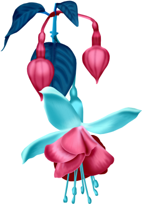 Illustration (350x450)