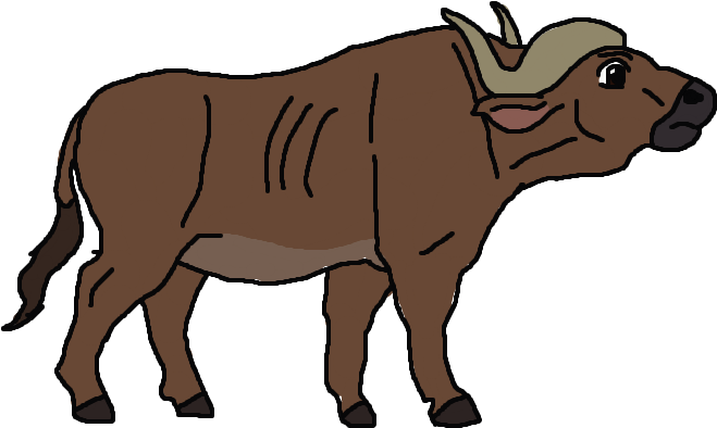 Andrewshilohjeffery 8 1 Cape Buffalo Character Drawing - Buffalo Drawing (764x444)