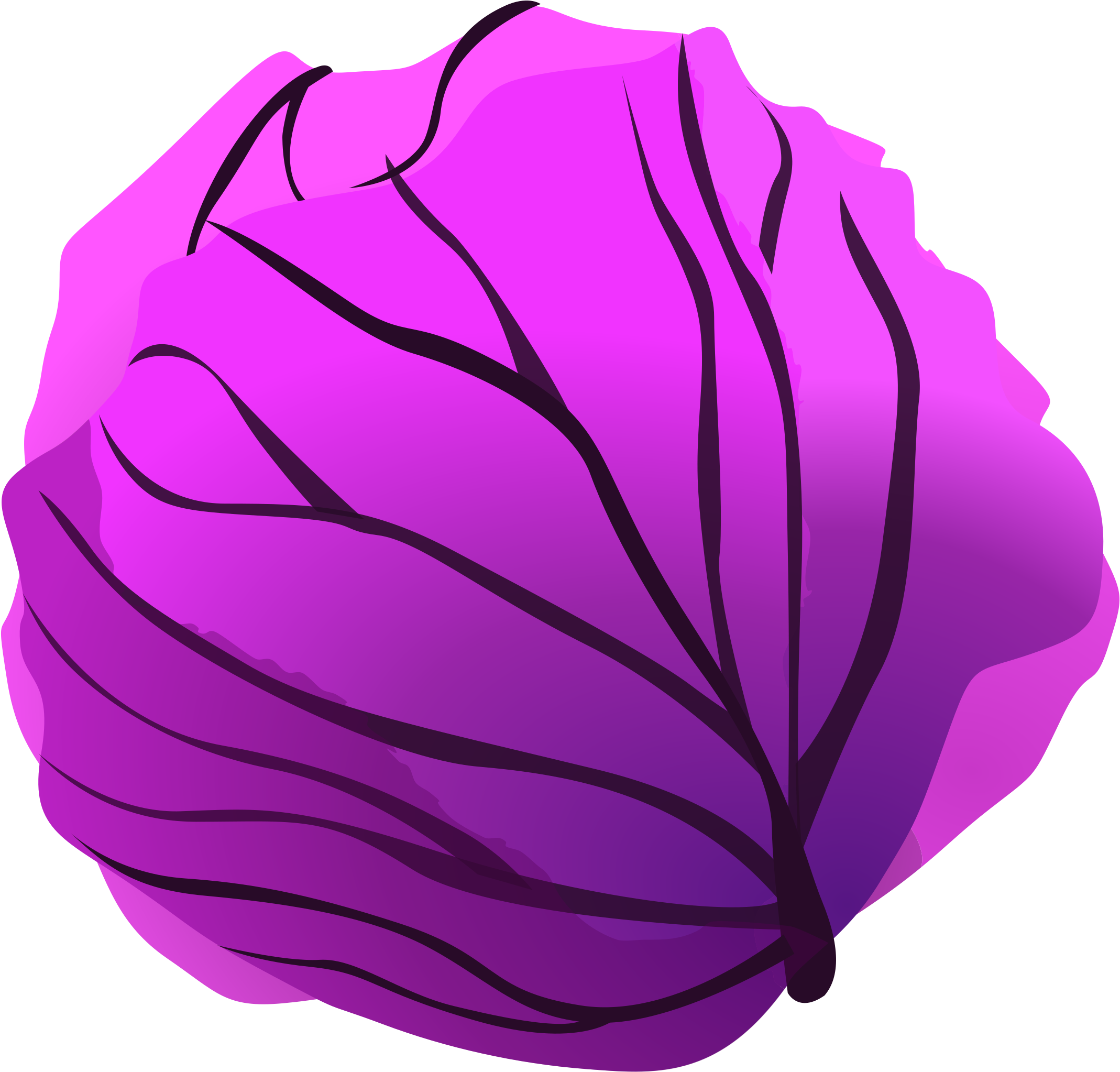 Red Cabbage Savoy Cabbage Cauliflower Clip Art - Red Cabbage Savoy Cabbage Cauliflower Clip Art (2400x2400)