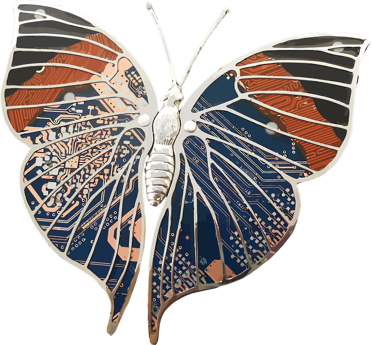 Monarch Butterfly Moth - Monarch Butterfly Moth (1500x1381)