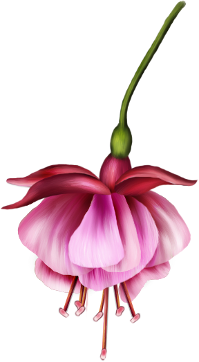 Обсуждение На Liveinternet - Lily Family (288x524)