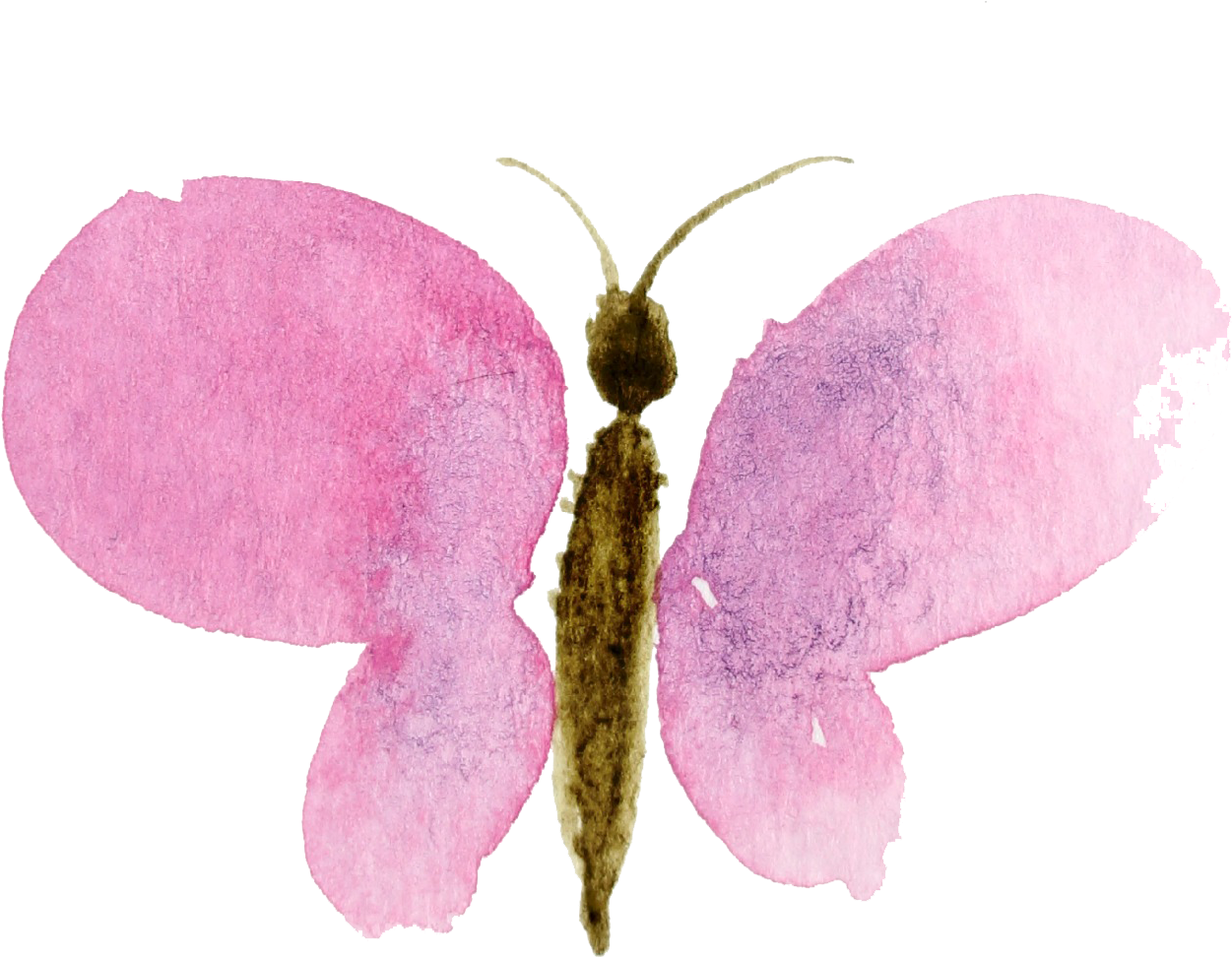 Transparent Background Floral Botanical Watercolor - Watercolor Butterfly Transparent Background (1294x1481)