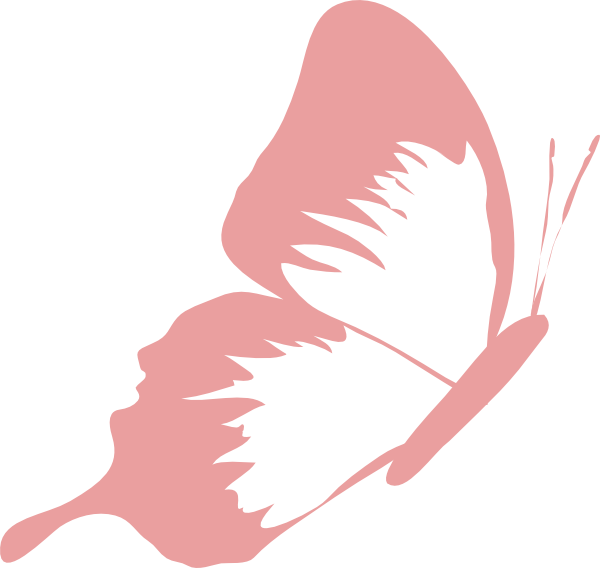 Butterfly Fuchsia Pink Clip Art - Pink Butterflies Clipart Transparent (600x568)