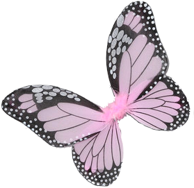 Scrap Papillon Violet - Pink Wings By Story Book Wishes - Pink (318x382)