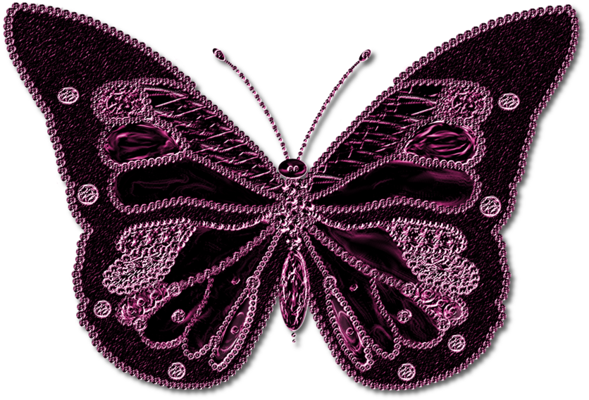 Butterfly Png Image - Butterfly Png Transparent Black Background (894x894)