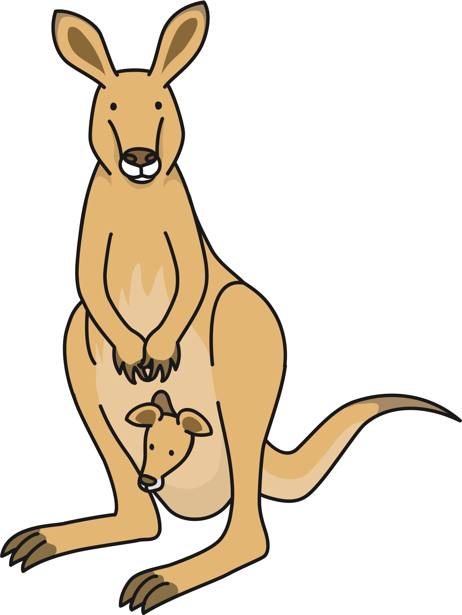 Kangaroo - Clip Art Kangaroo (1802x2399)