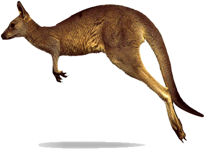 Amazing Tumblr Red Background Kangaroo Png Clipart - Kangaroo Jumping (410x312)
