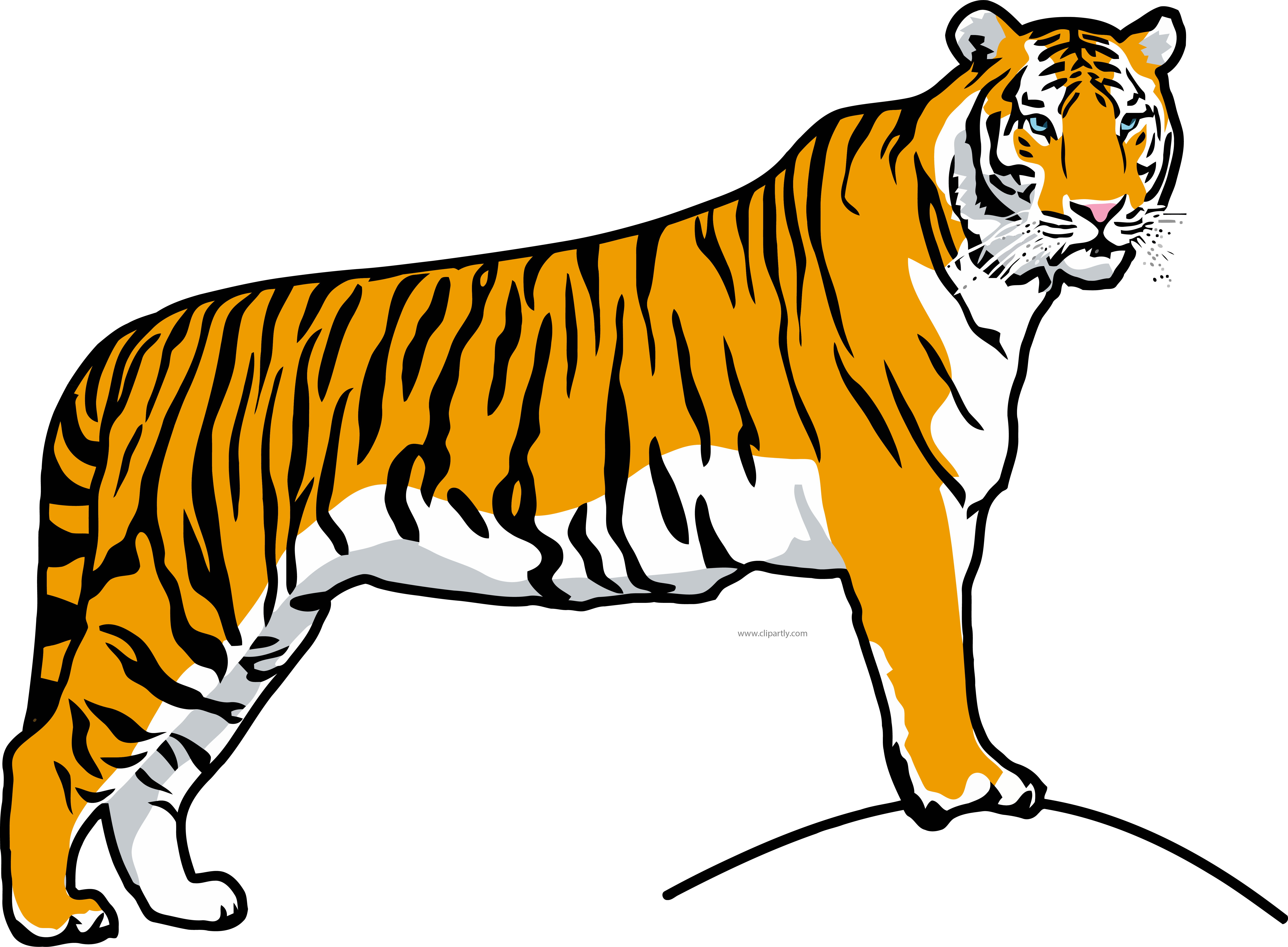 Story Contest 2017 - South China Tiger Clipart (7134x5245)