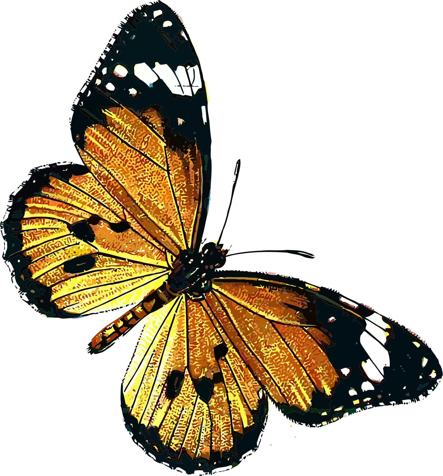 Monarch Butterfly Transparent Background Download - Danaus Chrysippus (1481x1593)