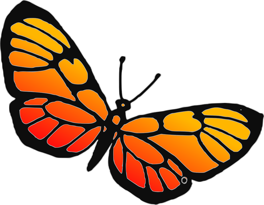 Free Vector Butterfly 28, Buy Clip Art - Butterfly Tng เค รื่ อน ไหว (926x720)