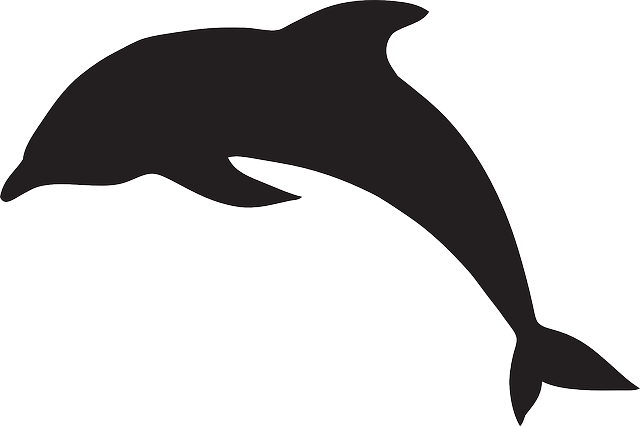 Animal Silhouette Pictures - Dolphin Silhouette (640x426)