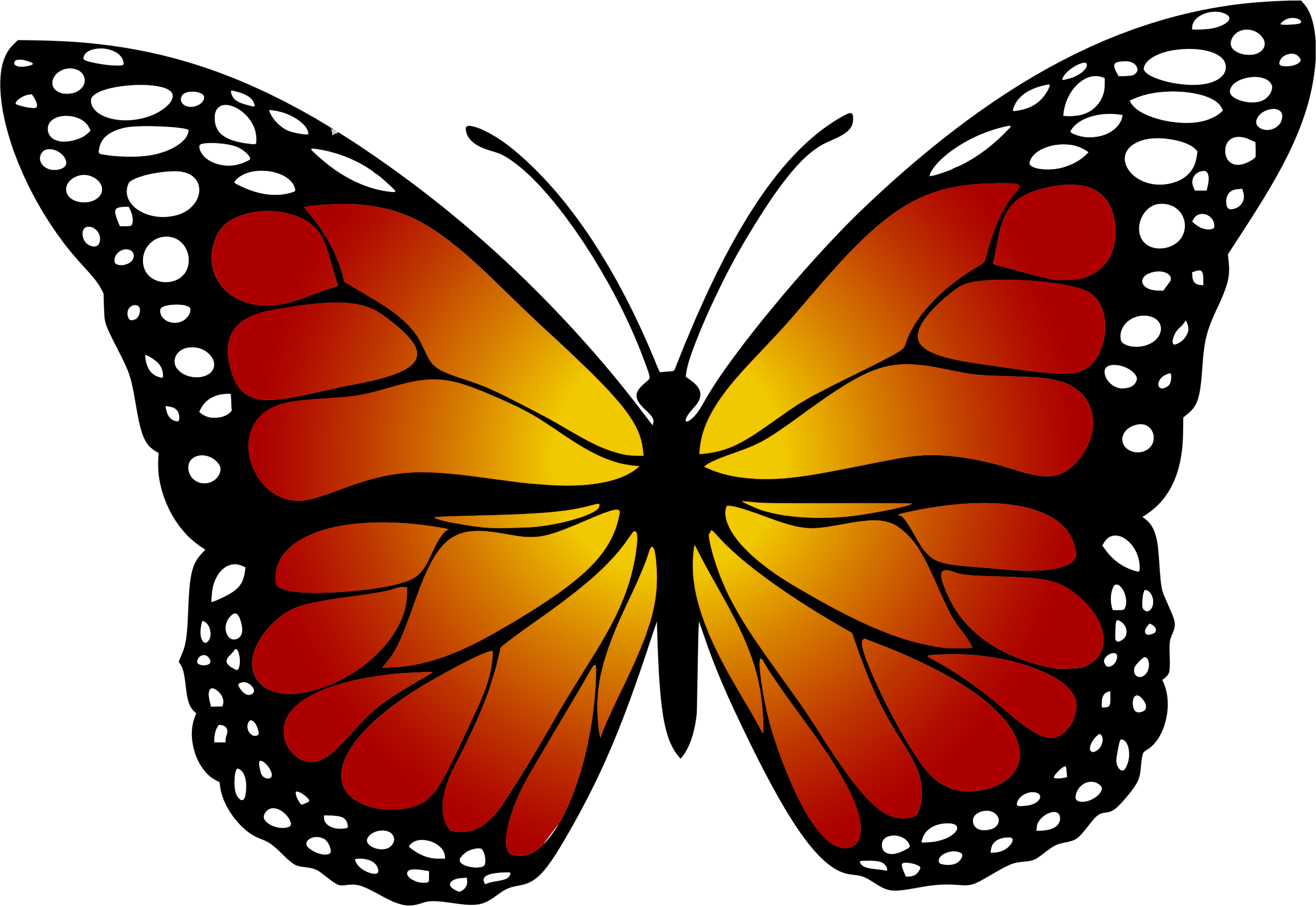 Monarch Butterfly - Kupu Kupu Hitam Putih (2310x1590)