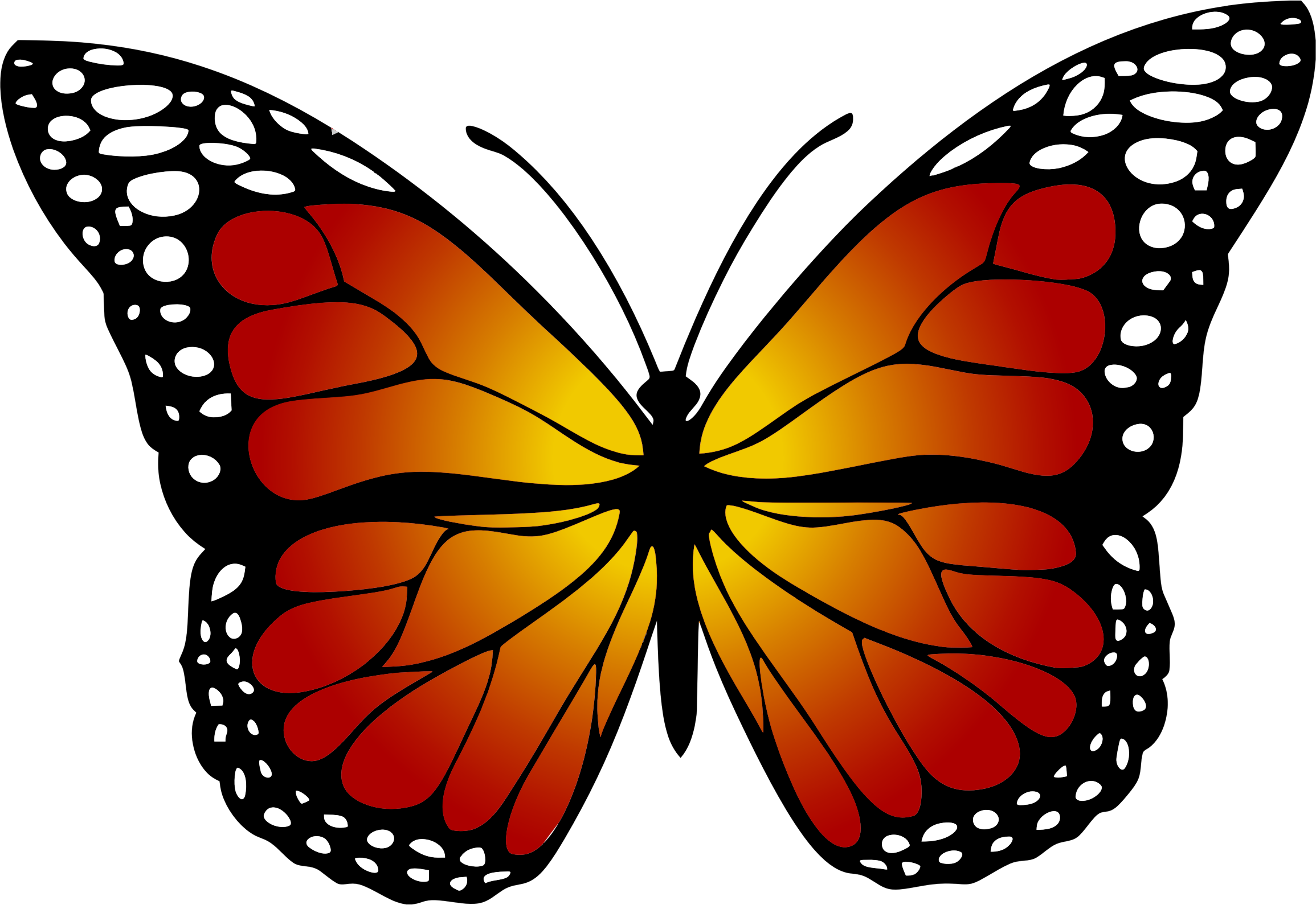 Распечатать цветную картинку бабочки Iridescent Butterfly 4 Schmetterlingszeichnung, Schmetterlingskunst, Schmetterli