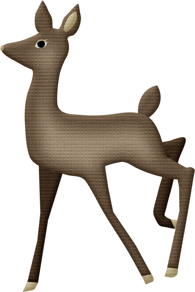 Safari & Zoo - Roe Deer (689x1024)