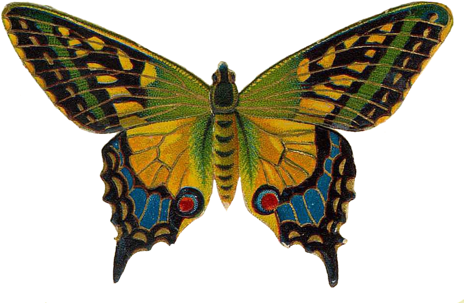 Inspiring Clipart Vintage Butterfly - Flying Colors: Second Nature Cd (1600x1074)