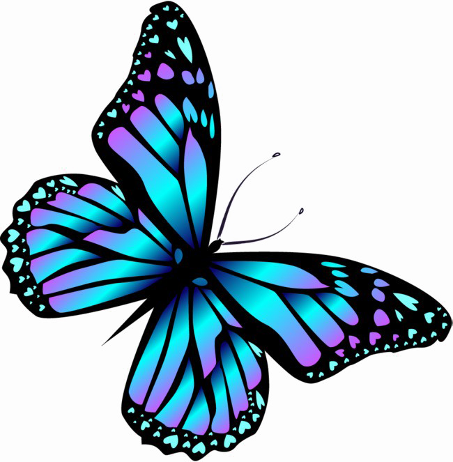 Blue Butterfly Png High-quality Image - Butterfly Cartoon (650x663)
