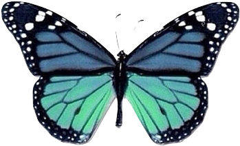 Overlay, Butterfly, And Png Image - Equation That Couldn't Be Solved (414x306)