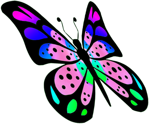 Flying Butterfly Png - Colorful Butterfly Many (512x443)