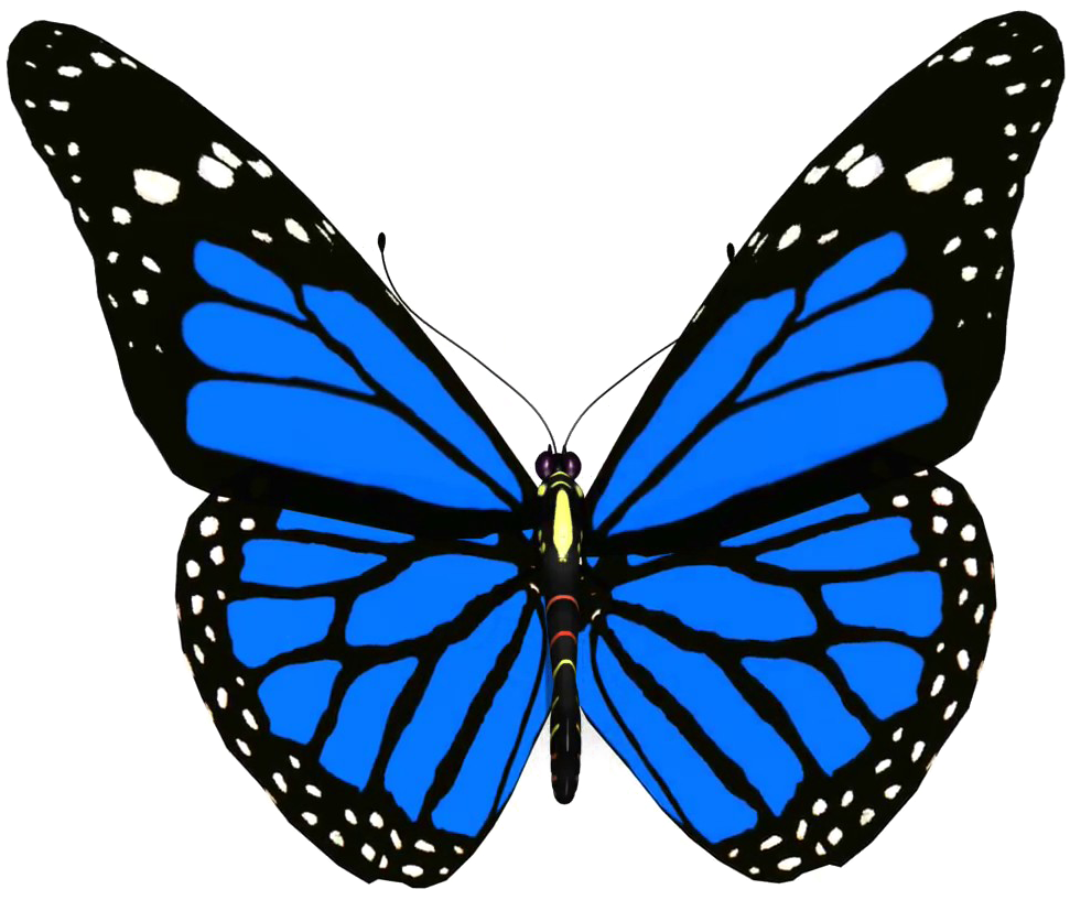 Blue Butterfly Png Pic - Animated Picture Of Butterfly (1920x1080)
