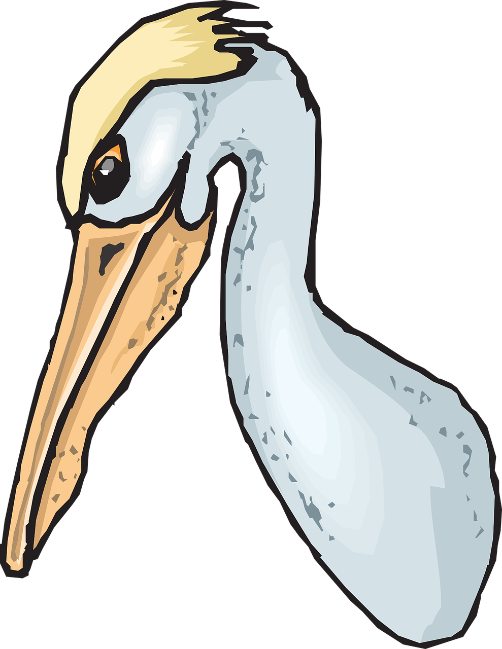 Head Clipart Pelican - Pouch Like Beak Clipart (989x1280)