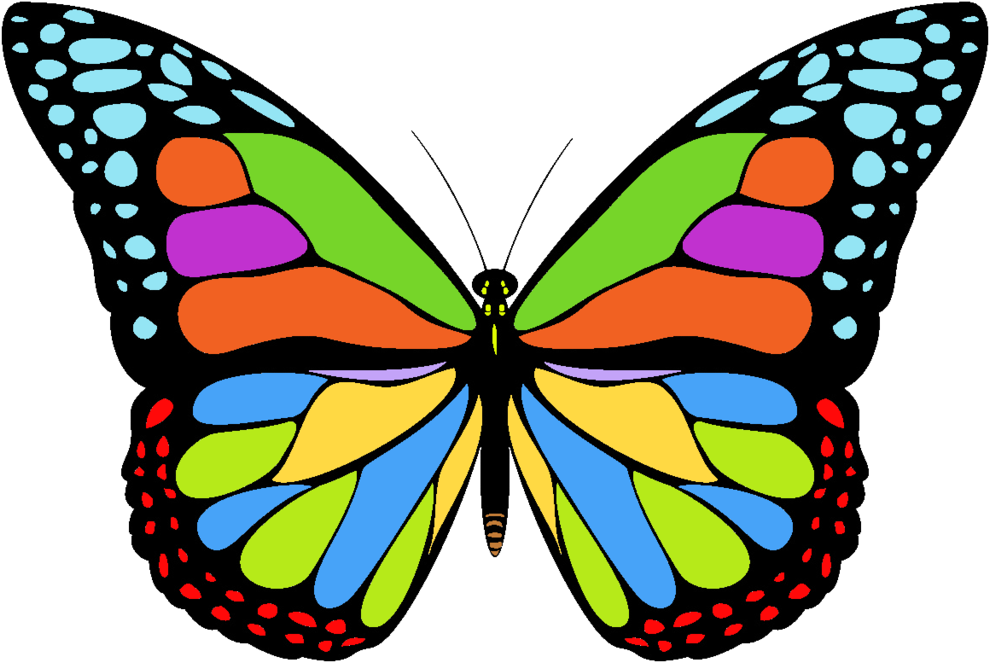 Free Icons Png - Butterfly Line Drawing (1024x1024)