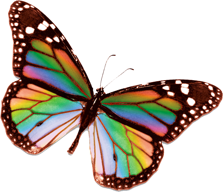 Rainbow Butterfly Clipart Beautiful Butterfly - Rainbow Butterfly No Background (745x640)