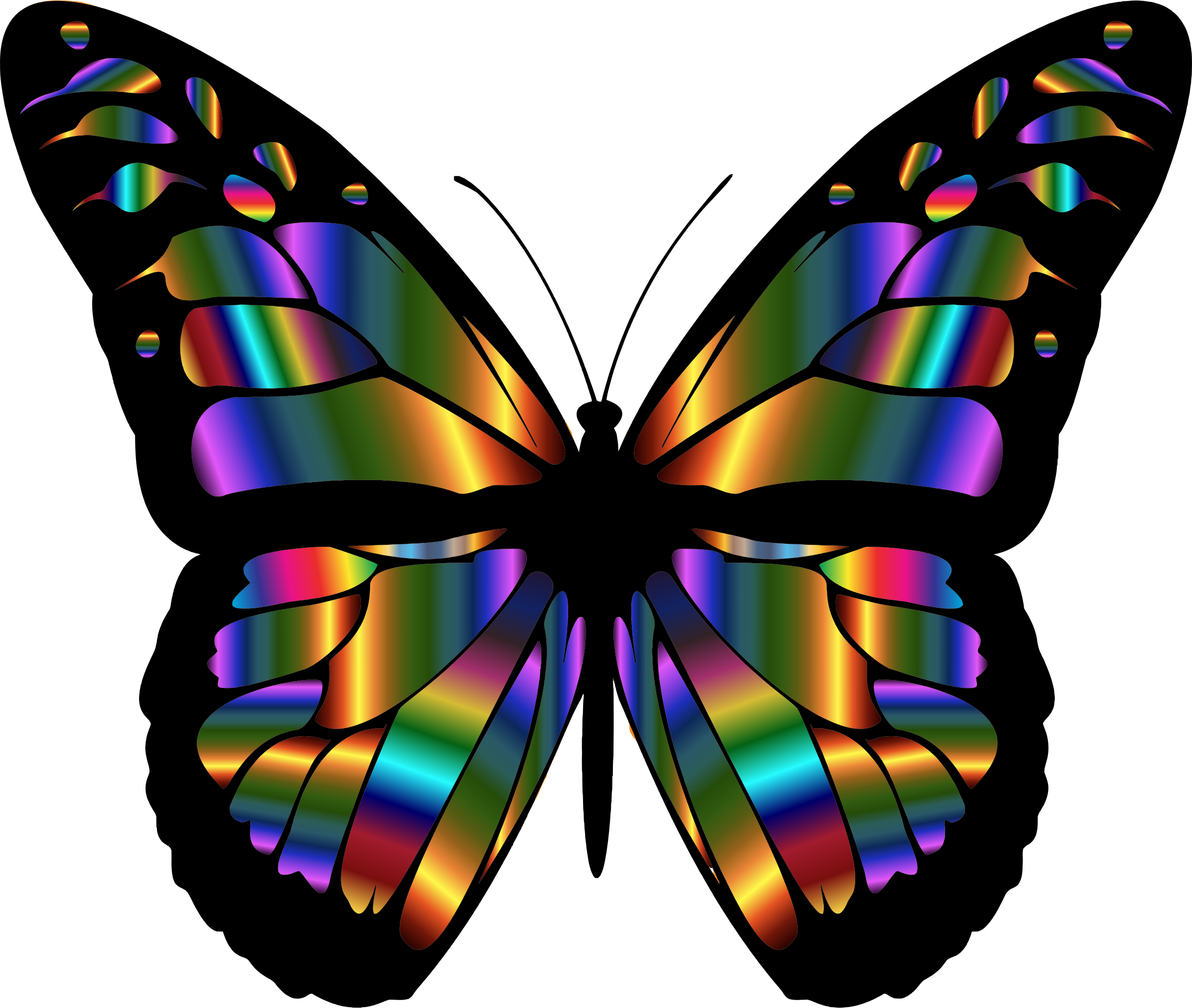 Winsome Monarch Butterfly Clip Art Medium Size - Passion Dust Intimacy Capsule (2400x2028)