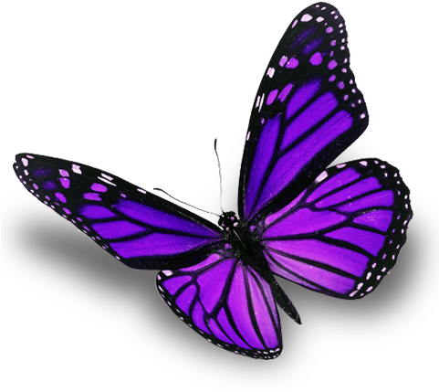 Carolyn Tjoland, Lpcc, Llc Provides A Variety Of Therapy - Impossible To Ignore: Creating Memorable Content To (480x462)