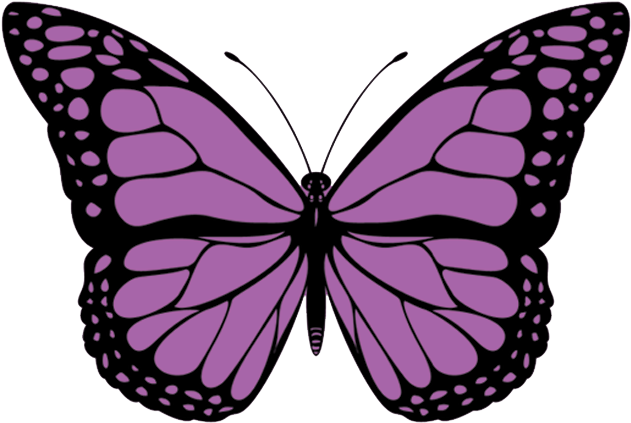 Picture - Mariposas Monarcas De Colores (676x553)