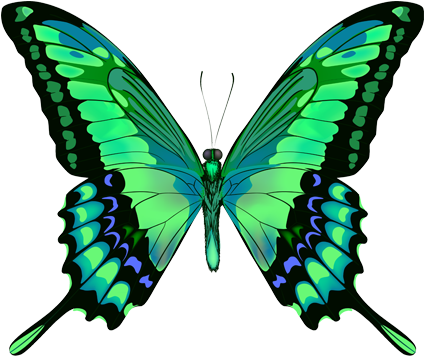 Green Butterfly Png - Beautiful Butterfly (494x355)