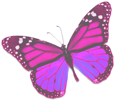 Suffolk County Meeting List - Mimicry (445x375)