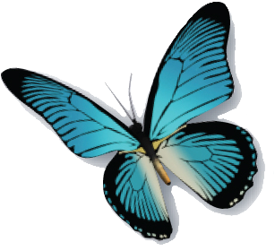Blue Butterfly Png - Butterfly (364x364)