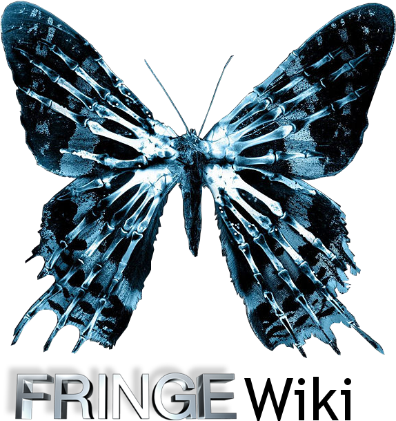 Tenetkefringelogo600x675 - Logo Fringe Png (600x675)