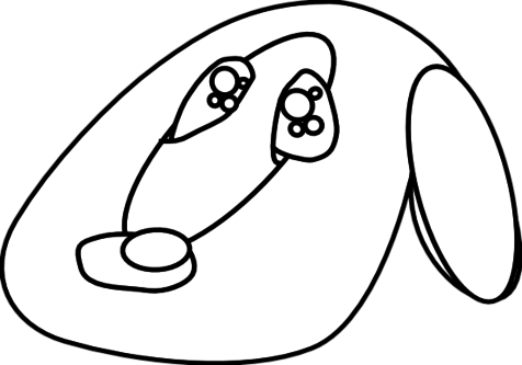 Animals Coloring, Books Coloring Medium Size Cutest - Coloring Book (476x333)