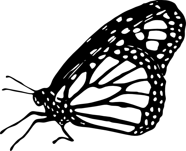 Butterfly Black And White Monarch Butterfly Clipart - Monarch Butterfly Clipart Black And White (600x487)