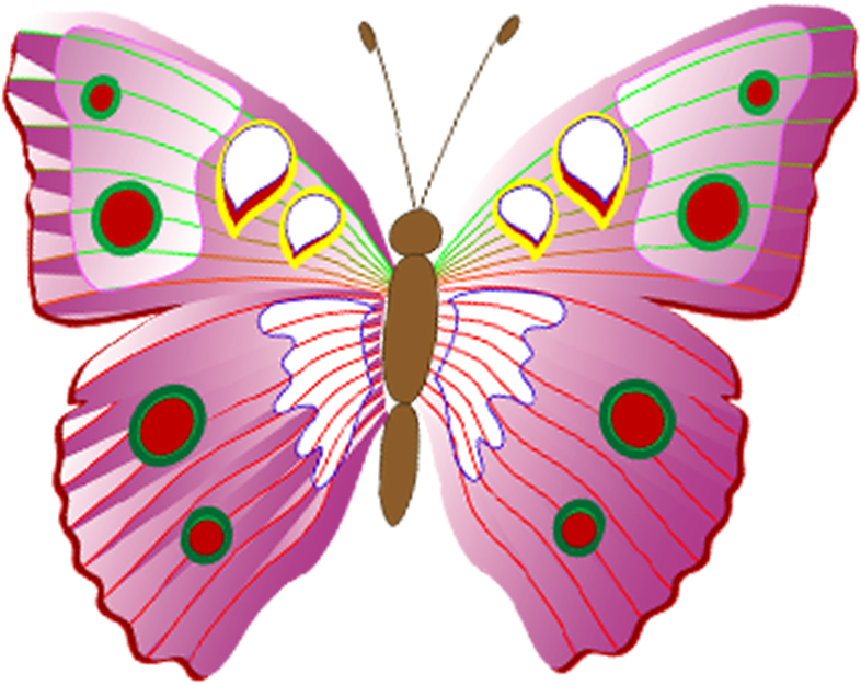 Pieces Of Red Butterfly 972*945 Transprent Png Free - Pieces Of Red Butterfly 972*945 Transprent Png Free (972x945)