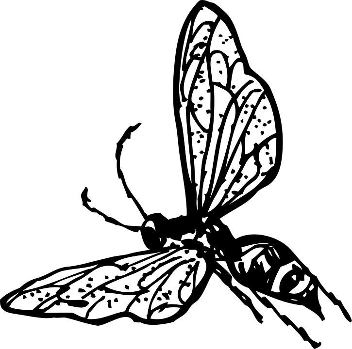 Cartoon Butterfly Image 29, Buy Clip Art - Wasp Clip Art (725x720)