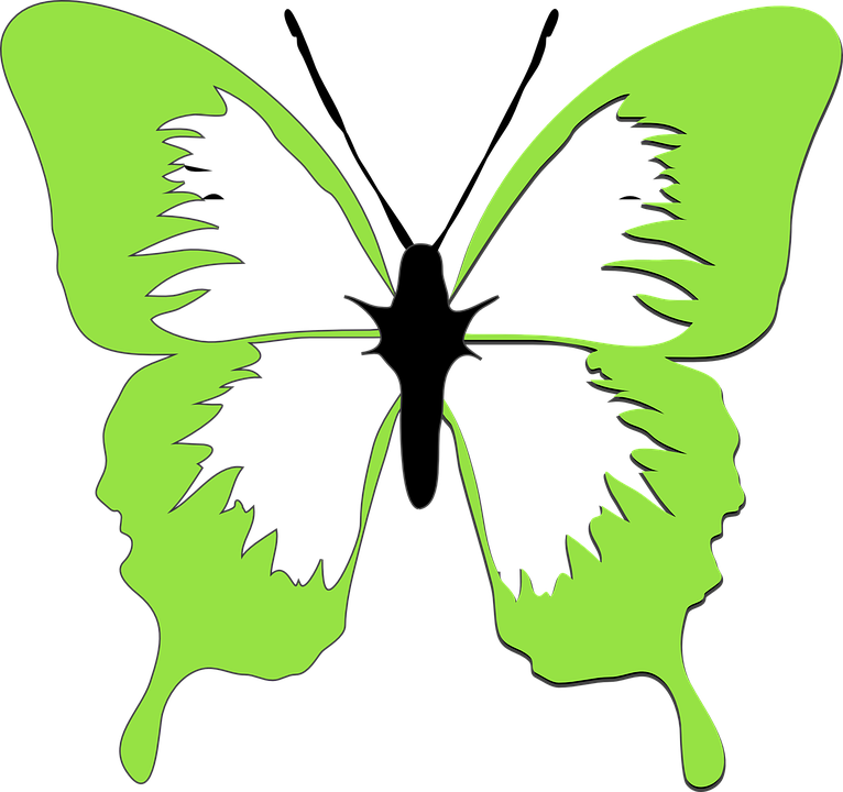 Butterfly Drawing 6, Buy Clip Art - Lime Green Butterfly Clip Art (766x720)