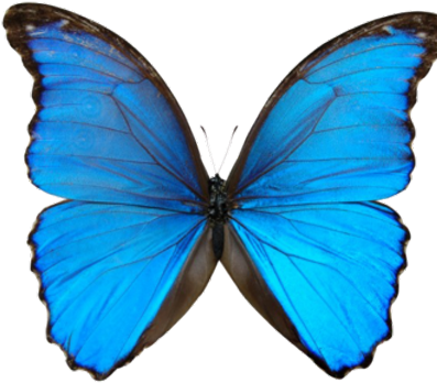 A Million Hugs - Hammermill Laser Paper For Laser Print, White, 8.50" (400x400)