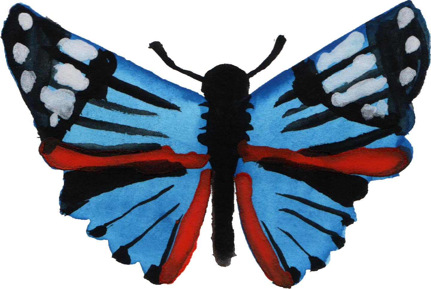 Free Download - Camberwell Beauty (1440x966)