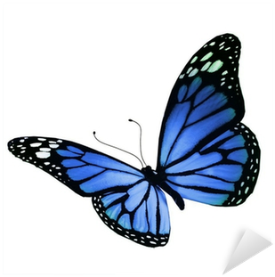 Blue Butterfly, Isolated On White Background Sticker - Denny Laine: Butterflies And Wings Cd (400x400)