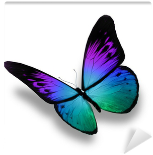 Blue Butterfly Flying, Isolated On White Background - Angels Beside You: True Stories Of The Lord's Tender (400x400)
